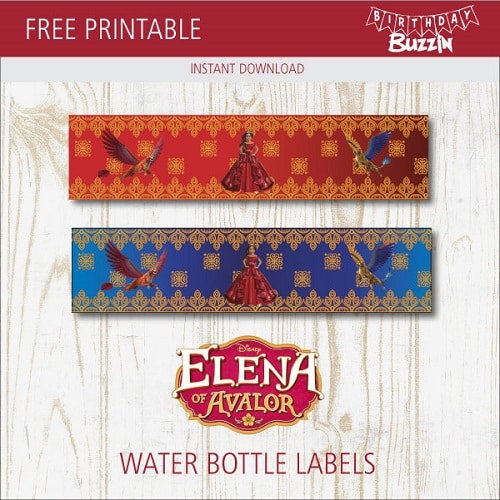 Free printable Elena of Avalor Water bottle labels