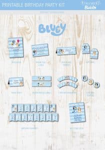 Bluey Birthday Party Printable Kit