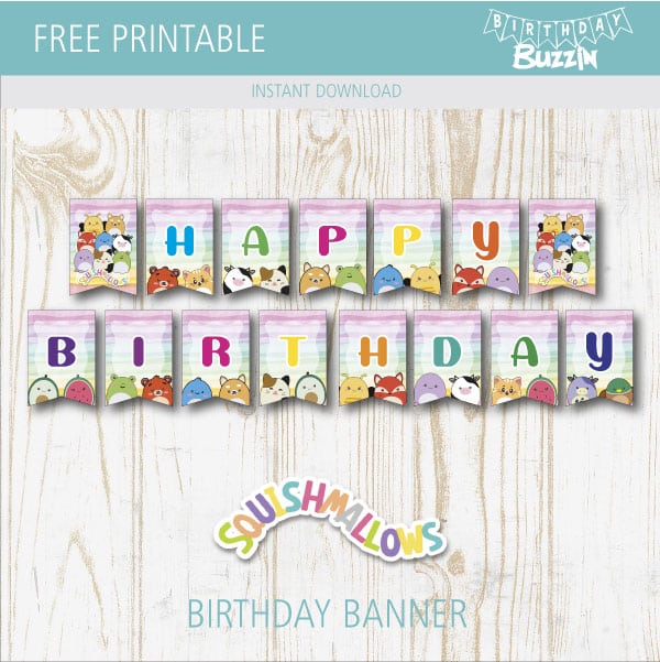 Free Printable Squishmallows Birthday Banner